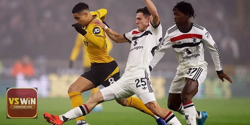 Tìm hiểu về kèo rung là gì cùng vswine